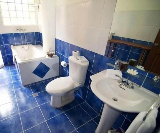 فيلا بغرفة نوم واحدة، Hoyohoy Villas 2/2