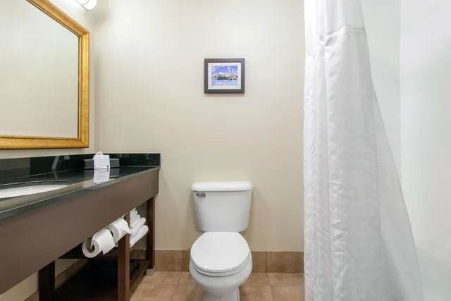 غرفة بسرير كينج، Comfort Inn And Suites Norman 7/7