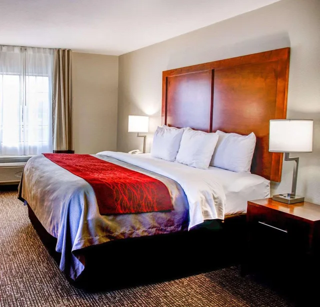 جناح بزنس بسرير كينج، Comfort Inn Bessemer Birmingham South 2/3