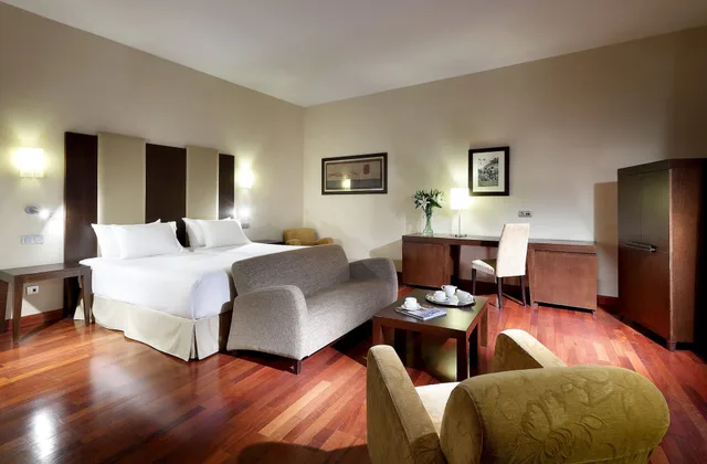 غرفة مفردة بسرير مزدوج، Eurostars Palacio Santa Marta 3/8