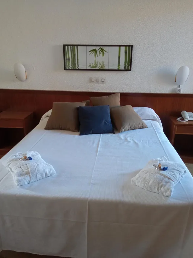 غرفة سوبيريور بسرير كينج وسرير كوين، Hotel ELE Acueducto 6/10