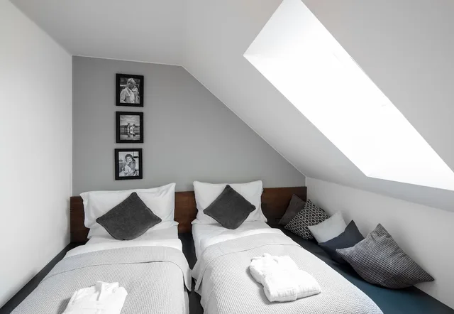 جناح دوبلكس عائلي بسرير كوين وسريرين منفصلين، THE MANES Boutique Hotel Prague 2/4