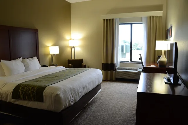 غرفة قياسية بسرير كينج، Comfort Inn & Suites Cave City 1/1