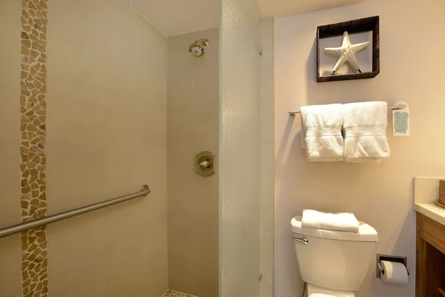 1 Bedroom, Condo, Ali'i, King Bed, Ocean View, Sofa، Mana Kai Maui 4/4