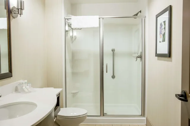 غرفة قياسية بسرير كينج، Hilton Garden Inn Milwaukee Downtown 3/3