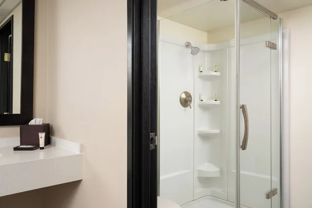 Accessible Deluxe 2 Queens Hearing (DLXAC02Q)، The Lakefront Anchorage 7/10