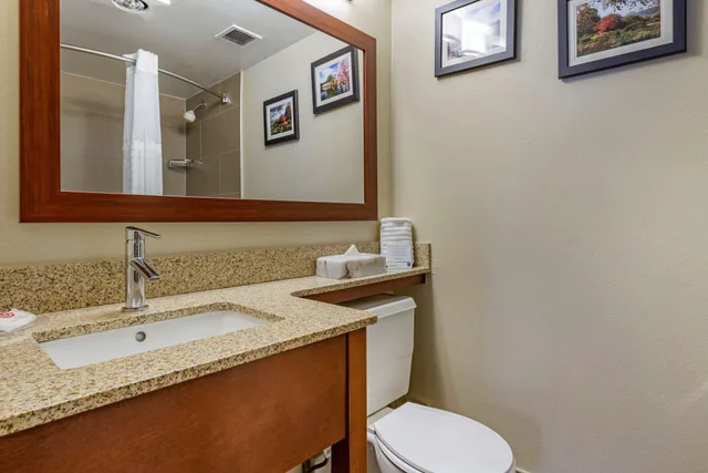 غرفة قياسية بسرير كينج، Comfort Inn Edgewater on Hudson River 7/9