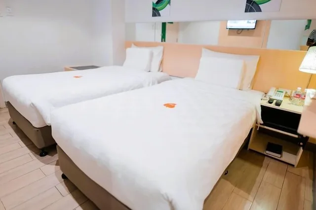 Superior, Twin Beds, Go Hotels Iligan 2/6