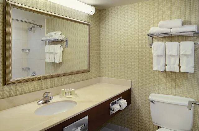 جناح بسرير كينج مع أريكة، Holiday Inn Hotel And Suites London 7/7