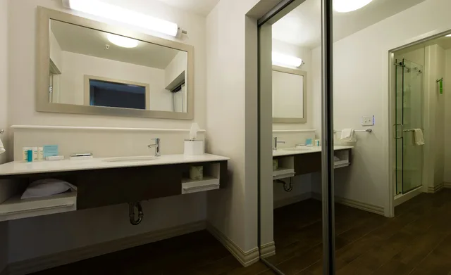 Studio, King Bed, Hampton Inn & Suites Orangeburg 5/6