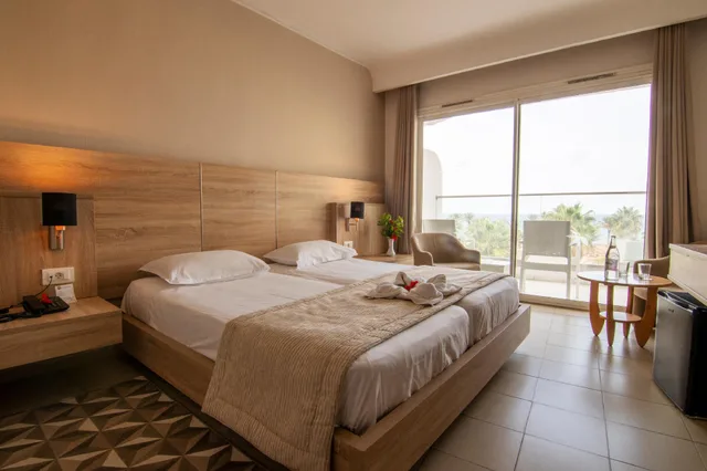 غرفة قياسية مفردة بسرير مزدوج، Riadh Palms Resort & Spa 1/2