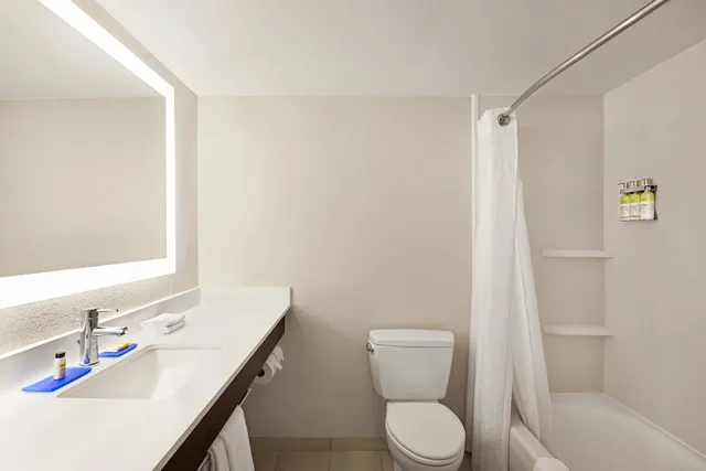 غرفة قياسية بسرير فردي، Holiday Inn Express Hotel & Suites Sarasota East - I-75 3/3
