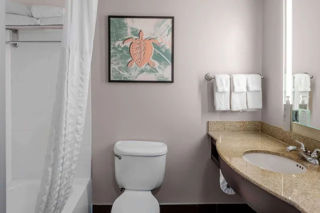 غرفة قياسية بسرير كينج، Hilton Garden Inn Sarasota-Bradenton Airport 7/10