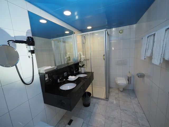 غرفة كلاسيكية بسريرين منفصلين، Hotel Real Nyon 9/10