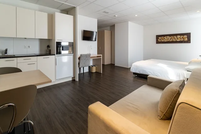 Superior, Studio, Twin Beds, Kitchen, Hine Adon Apart Bern-Airport 3/9