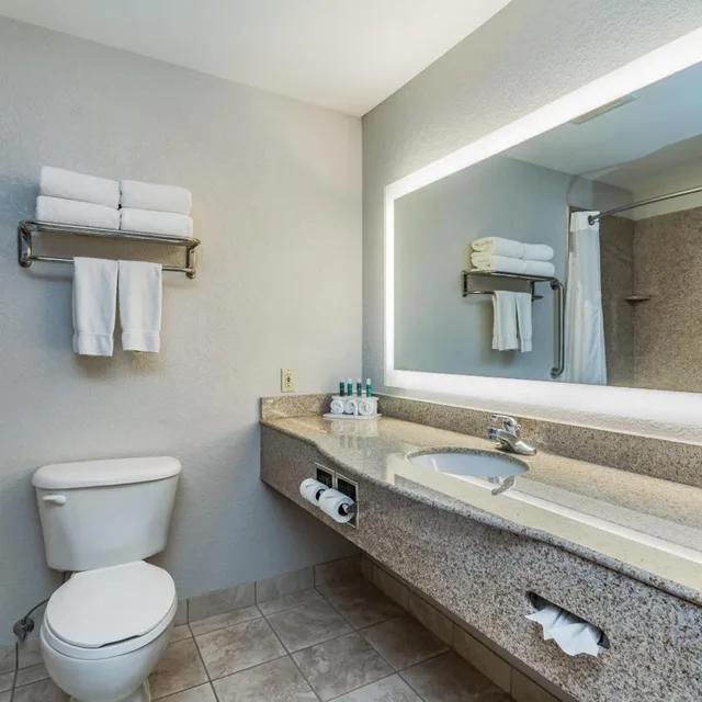 جناح تنفيذي، Holiday Inn Express Hotel & Suites South Bend 8/8