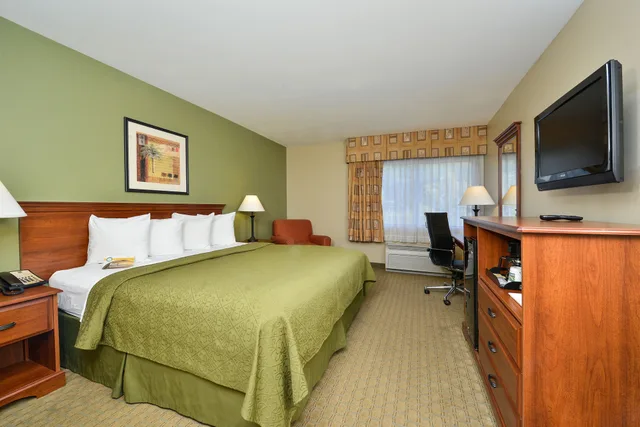 غرفة قياسية بسرير كينج، Quality Inn & Suites Tampa near Fairgrounds and Casino 3/10