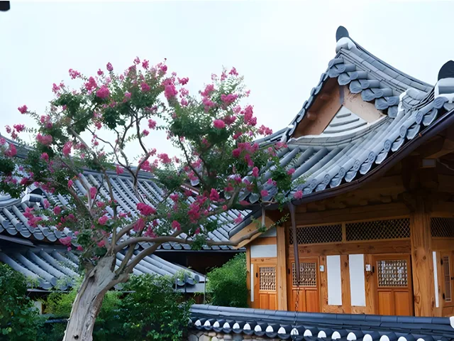 Private, House, Dajeong Guesthouse - Hostel 1/1