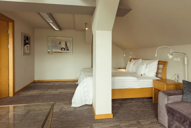 Apartment, Queen Bed, Sofa, Promenade Hotel 2/5
