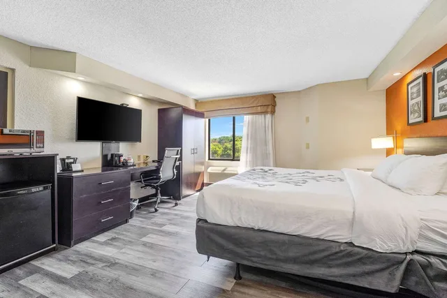 غرفة بسرير كينج لذوي الإعاقة، Wingate by Wyndham Leesburg Florida 3/5