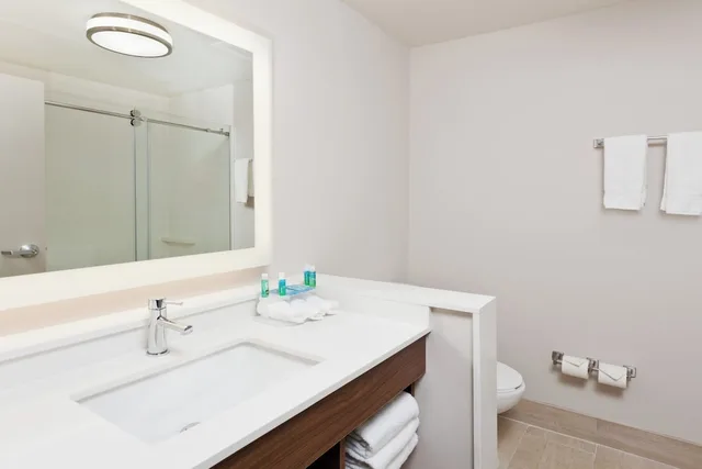 غرفة قياسية بسرير كينج لذوي الإعاقة، Holiday Inn Express And Suites Cartersville 4/4