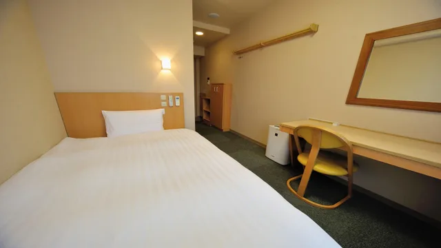 Room Assigned on Arrival, Economy, Single, Dormy Inn Niigata Natural Hot Spring 1/1
