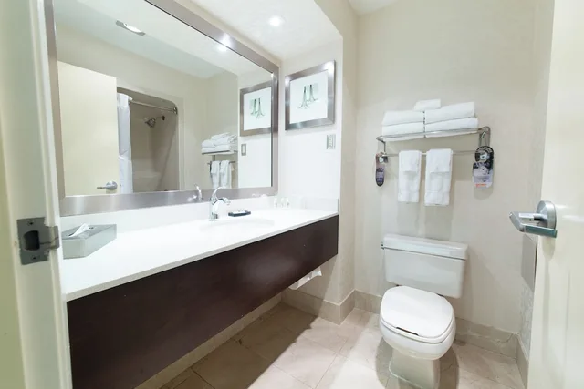 جناح بسرير كينج بمنطقة جلوس، Holiday Inn Suites Windsor Ambassador Bridge 5/6