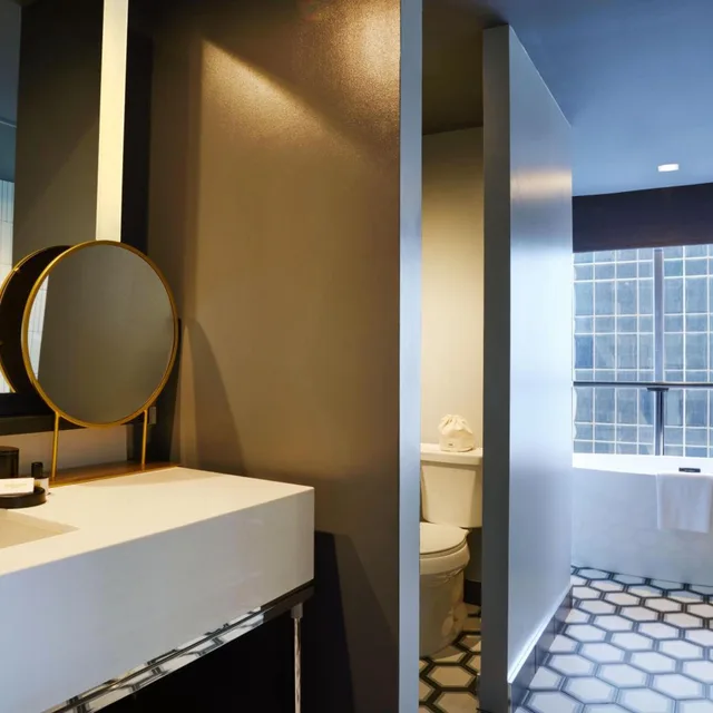 Skyline, Suite، Thompson Dallas 3/3