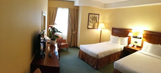 غرفة قياسية بسريرين منفصلين، Mercure Rome Leonardo Da Vinci Airport 1/3