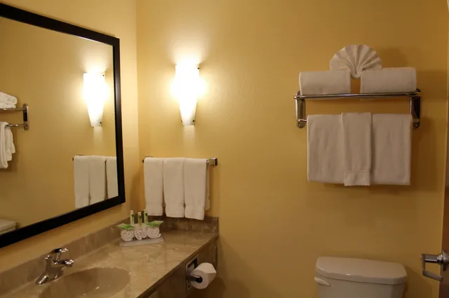 غرفة قياسية بسريرين مزدوجين، Holiday Inn Express & Suites Harrisburg W - Mechanicsburg 7/7