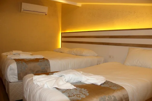 غرفة اقتصادية ثلاثية، Theodian Hotel 1/1