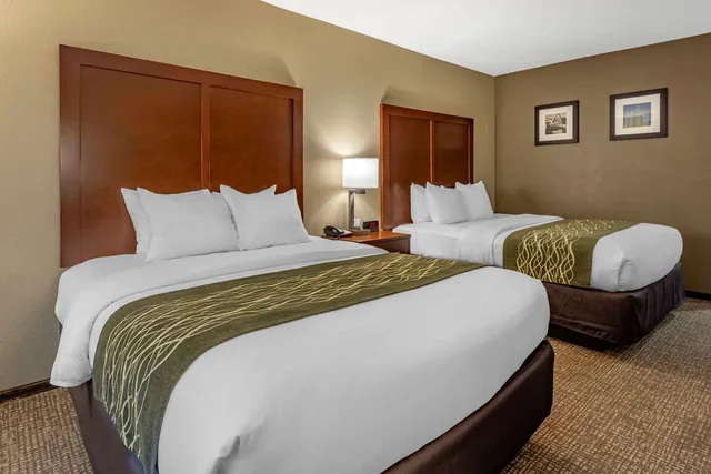 Room, 2 Queen Beds, Comfort Inn & Suites Pittsburgh South 1/3