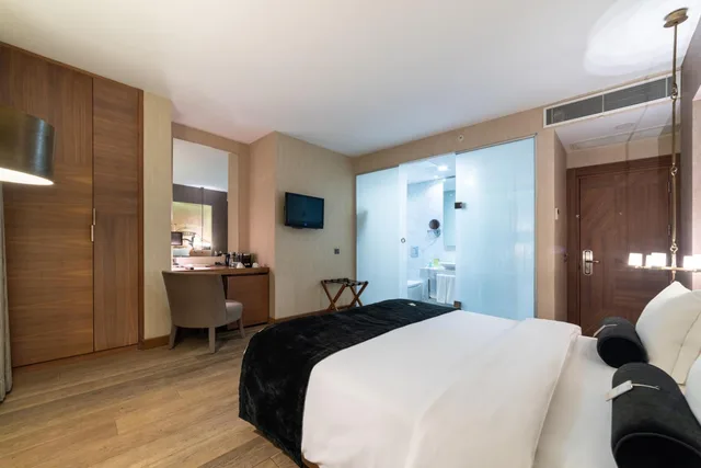 غرفة ديلوكس، Hotel St. Sophia Istanbul 2/2