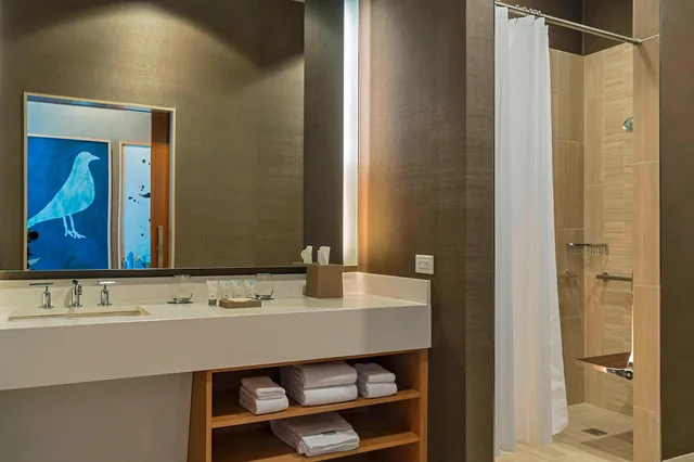 غرفة ديلوكس بسرير كينج، THE WESTIN AT THE WOODLANDS 4/4