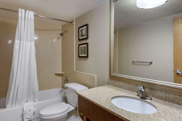 جناح بسرير كينج، Comfort Inn Lansing West MI 2/2