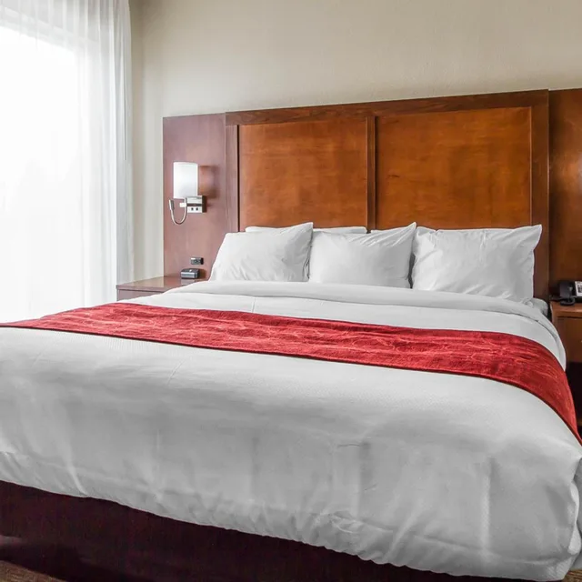 Suite, King Bed, Jetted Tub, Comfort Suites West Omaha, NE 2/4