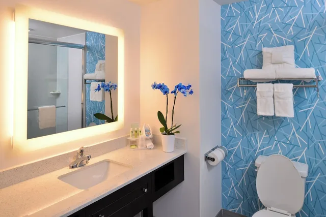 Suite, King Bed, Sofa, Accessible, Holiday Inn Express & Suites West Ocean City 4/4