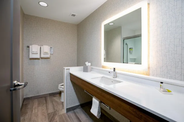 غرفة ديلوكس بسرير كينج، Holiday Inn Express Lethbridge Southeast 4/7