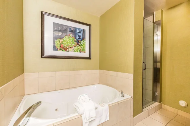 جناح لذوي الإعاقة، Hilton Garden Inn St George 2/2