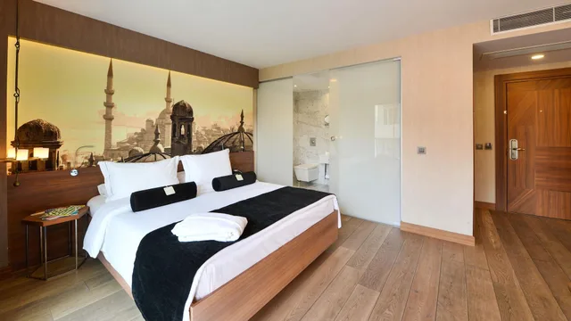غرفة ديلوكس مفردة، Hotel St. Sophia Istanbul 6/10