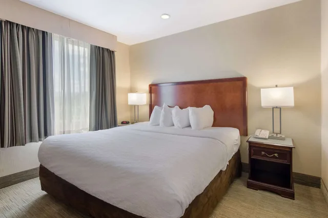 جناح بغرفة نوم واحدة مفردة بسرير كينج مع أريكة، MainStay Suites Roanoke Airport, VA 3/10