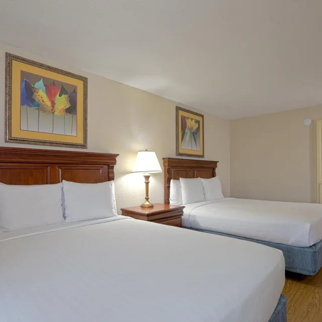 غرفة ديلوكس بسرير كوين، Music Road Hotel 1/7