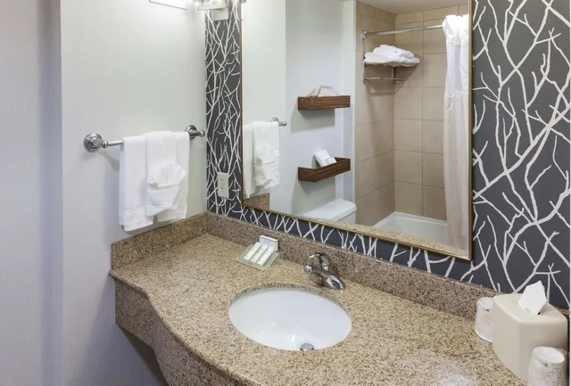 Evolution, King Bed، Hilton Garden Inn Austin North 8/8