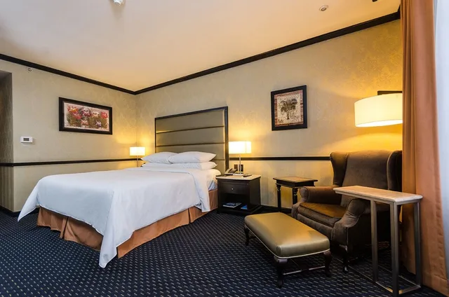 غرفة قياسية بسرير كينج، Hilton Princess San Pedro Sula 3/9