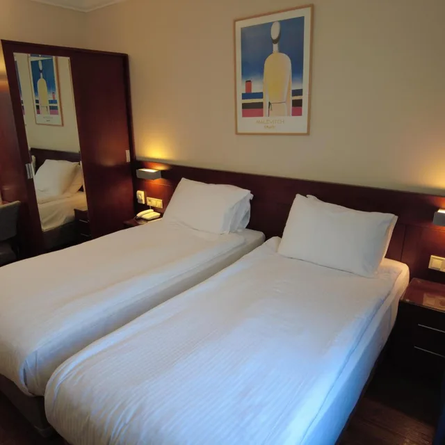 غرفة قياسية بسرير مزدوج أو سريرين منفصلين، Feronya Hotel 7/10
