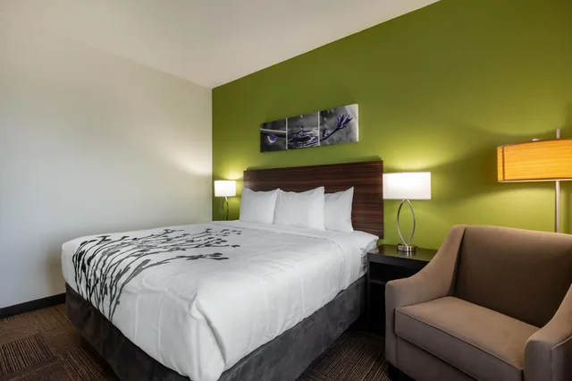 غرفة قياسية بسرير كينج، Sleep Inn & Suites Tampa South 1/3