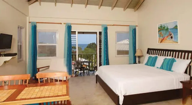 استوديو ديلوكس، Grooms Beach Villa And Resort 1/3