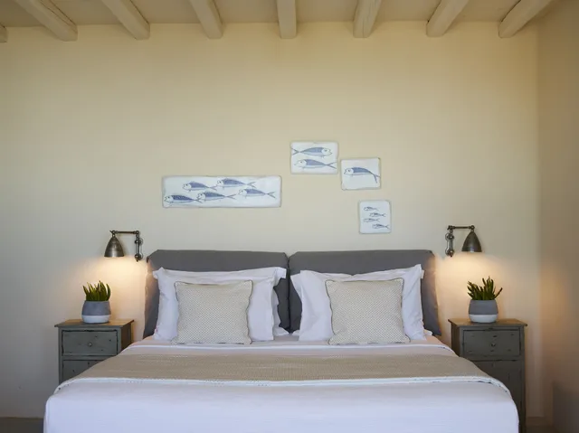 جناح جونيور بسرير فردي بإطلالة على البحر، Aeolis Tinos Suites 5/10