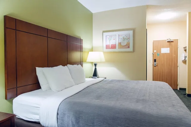 Room, King Bed, Accessible, Quality Inn & Suites Bloomington I-55 and I-74 4/4