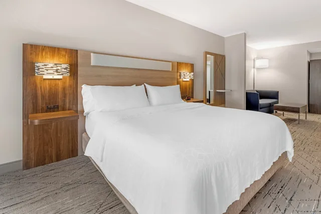 جناح بسرير كينج بغرفة نوم واحدة مع أريكة، Holiday Inn Express Breezewood 2/9